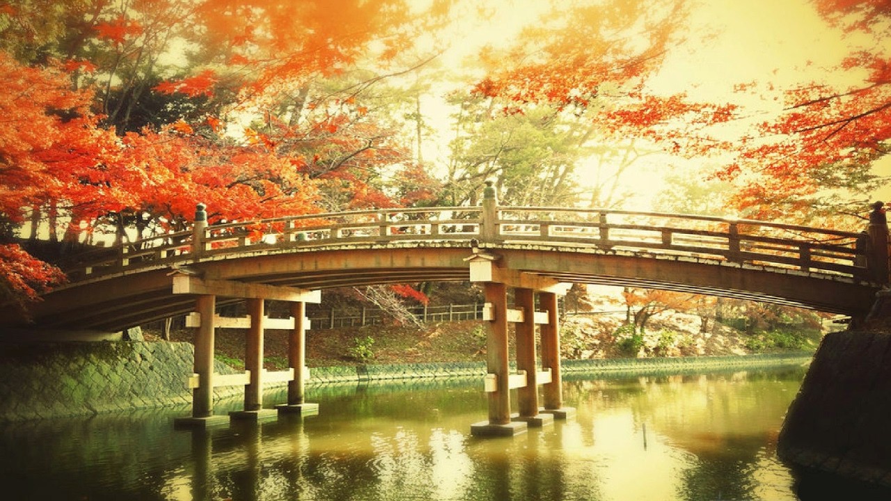 Красота и традиции Японии