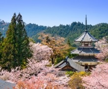 Очарование и спокойствие Японии