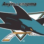 Команда "Акулы спорта" эмблема